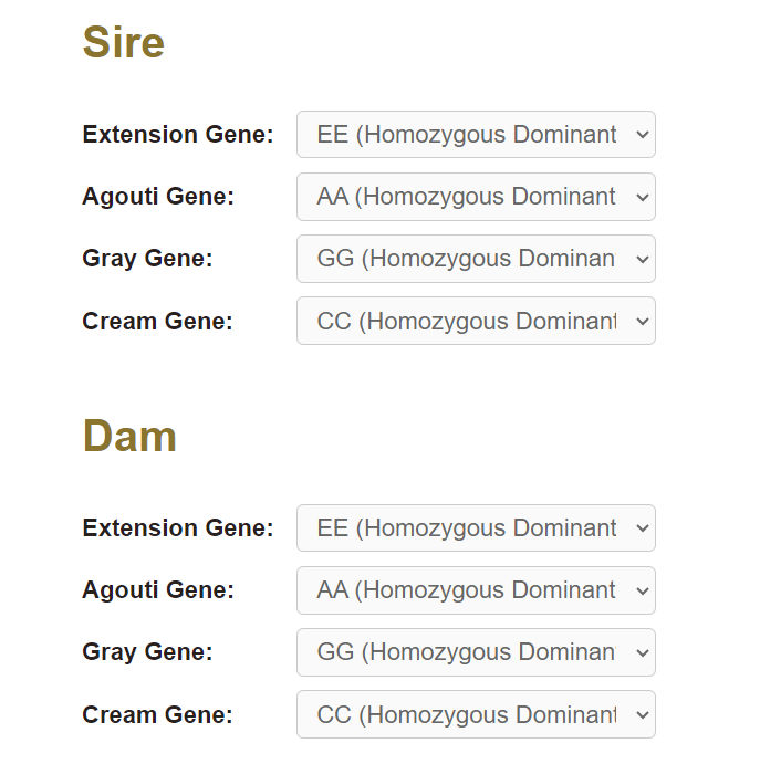 Horse Color Calculator • Horsezz