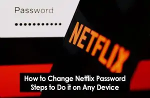 Netflix Password