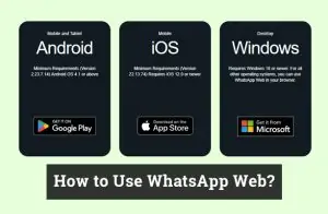 How to Use WhatsApp Web?