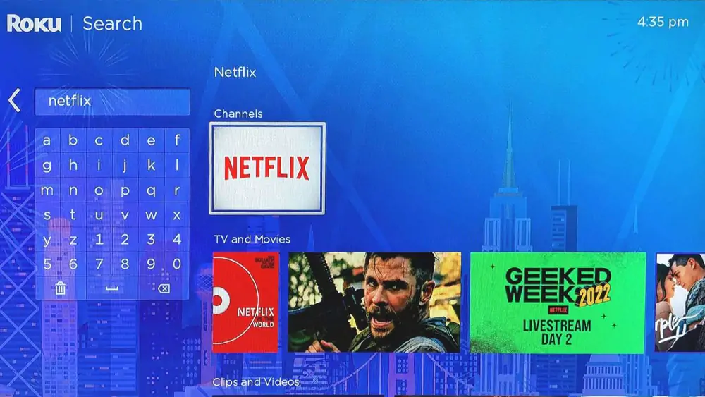 Netflix Password on Roku