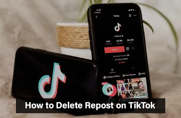 Delete Repost on TikTok