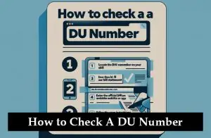 How to Check a DU Number