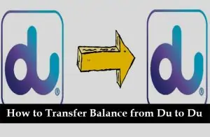 How to Transfer Balance from Du to Du