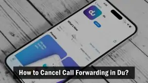 How to Cancel Call Forwarding in Du?