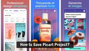 How to Create and Save Picart Project