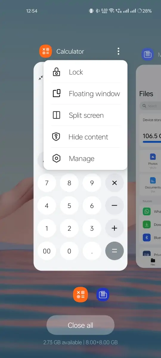 app split screen view option