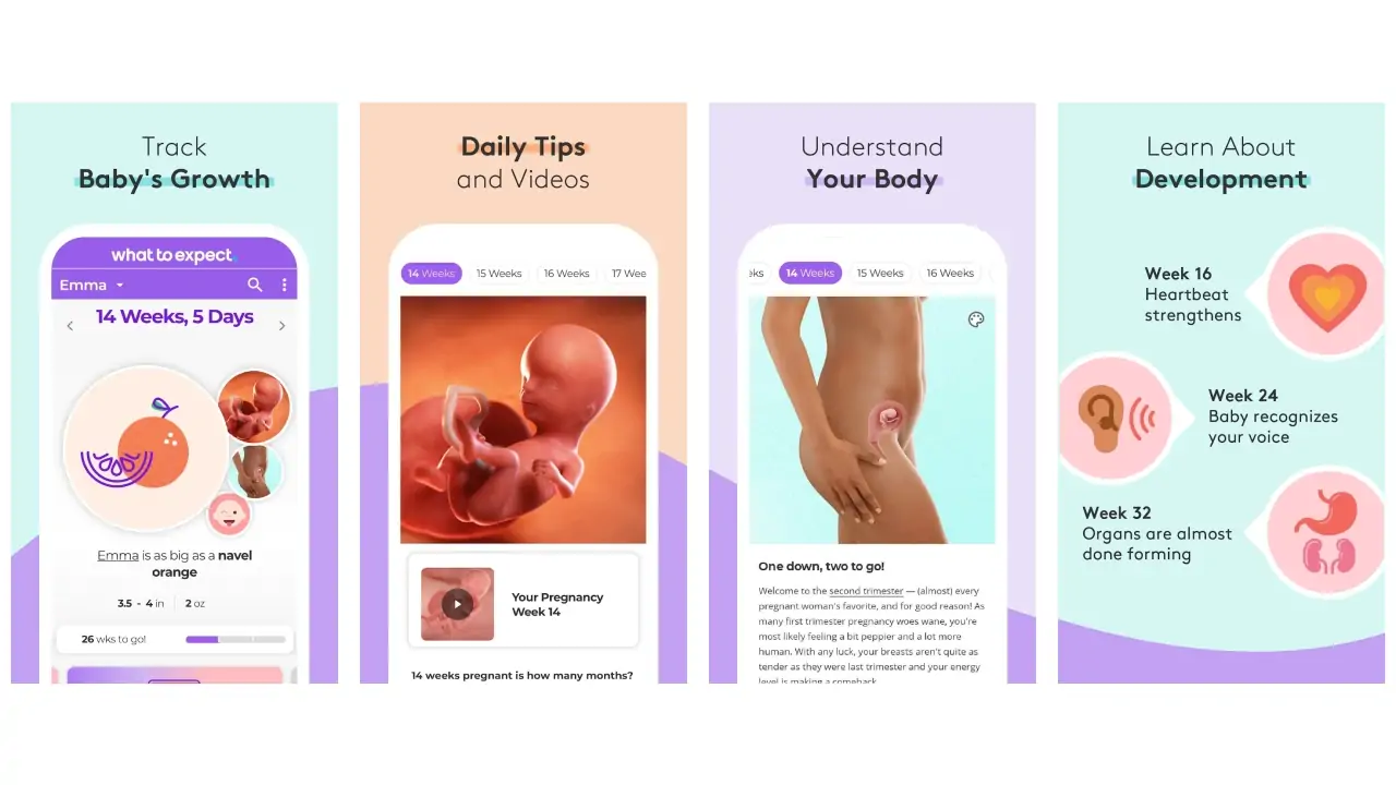 Pregnancy Tracker & Baby App-screenshots