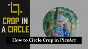 How to Circle Crop in PicsArt