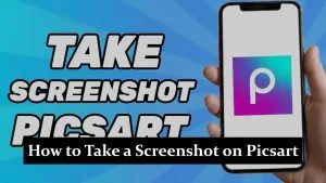 How to Take a Screenshot on Picsart