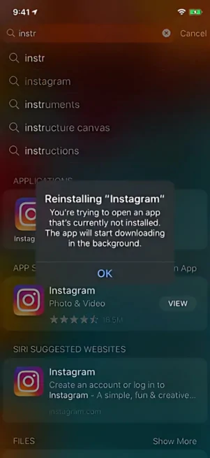 Reinstall Instagram from the App Store to complete the process