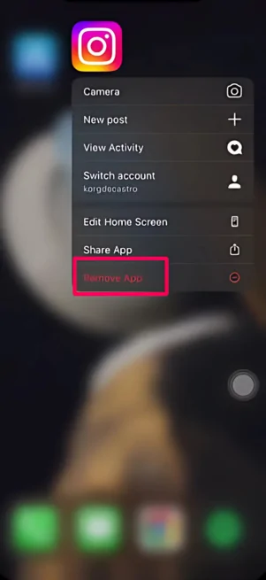 Tap Remove App and confirm by selecting Delete App