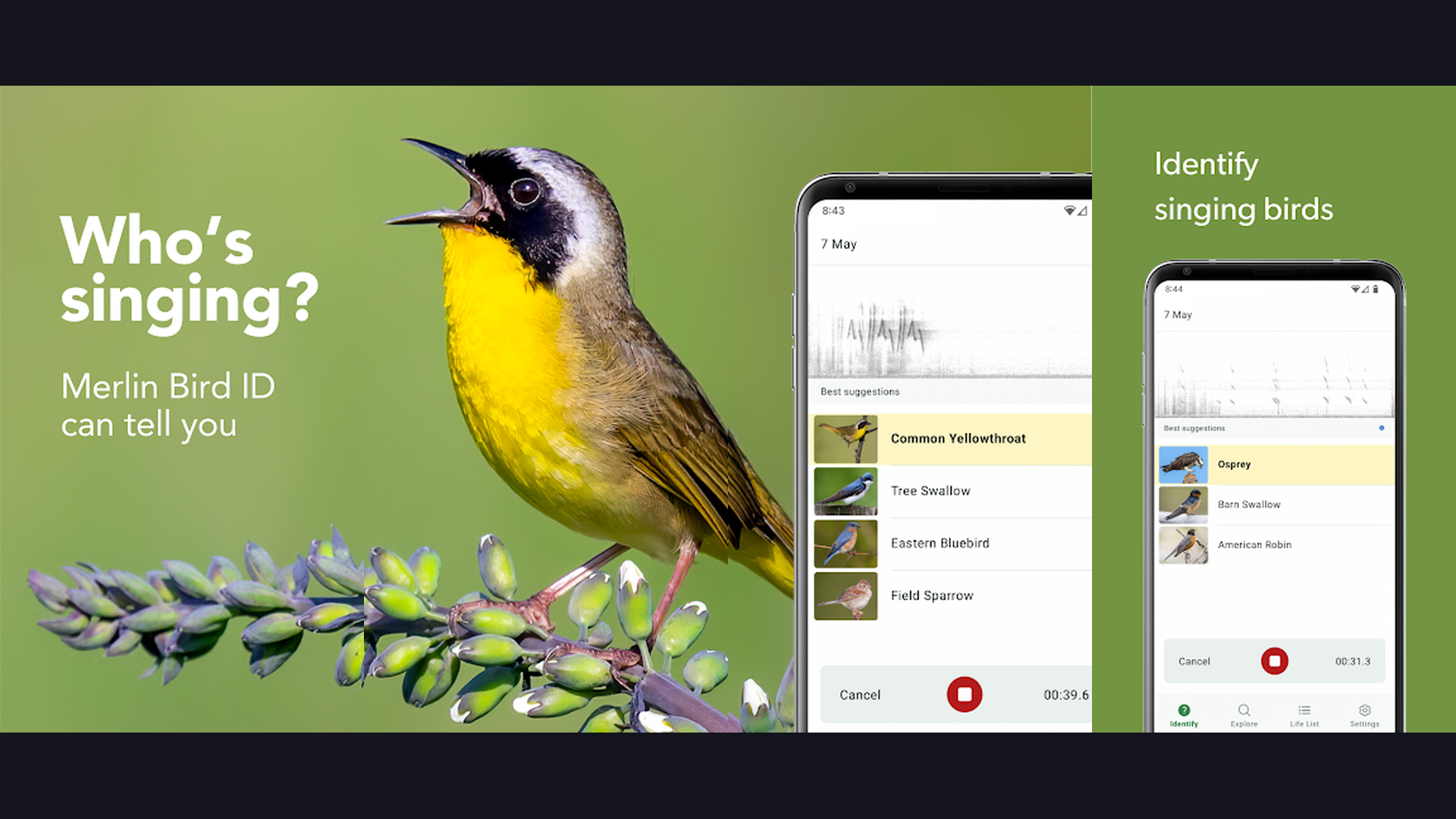 Merlin Bird ID app screenshots